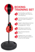 Boxing Training Set for Kids