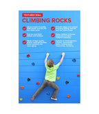 Climbing Wall Hold Rocks - 32 pcs set