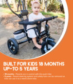 little nation push trike