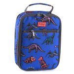Lunchbox Cooler - Dinosaurs